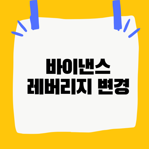 바이낸스 레버리지 변경